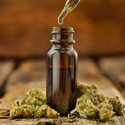Dropper dispensing golden CBD oil into amber bottle surrounded by cannabis buds.