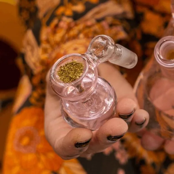 Hand holding a clear glass bong bowl filled with green cannabis herb.