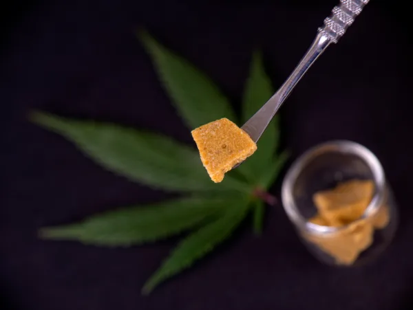 Golden cannabis concentrate wax on dab tool, with marijuana leaf background.