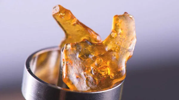Close-up of golden, translucent cannabis concentrate, likely shatter, on a metal dab tool.