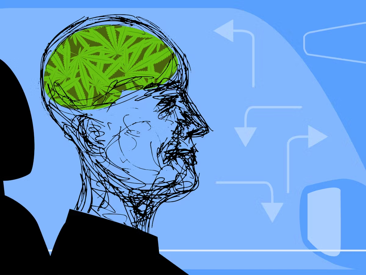 cbd-brain-neuro-effects-graphic