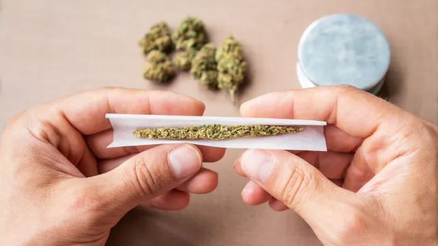 Hands rolling cannabis into a joint with buds and grinder in background.