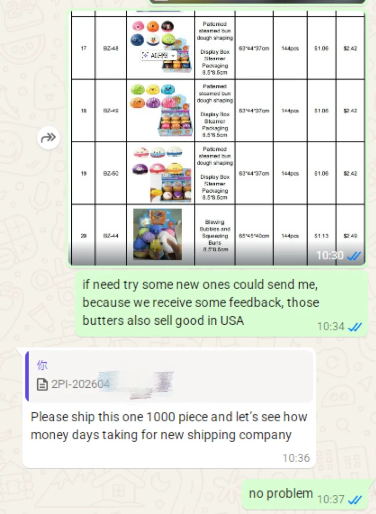 Customer chat screenshot 4