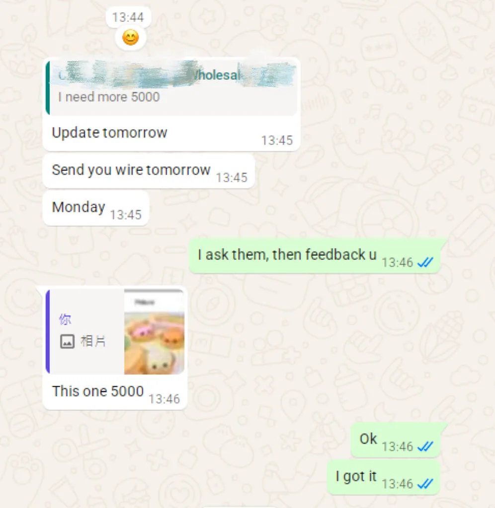 Customer chat screenshot 4