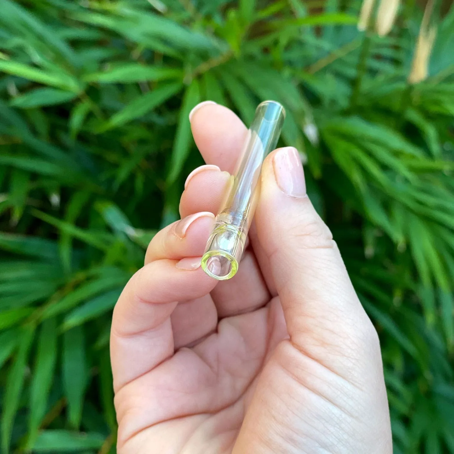 Hand holding a small clear glass one-hitter pipe against vibrant green foliage.